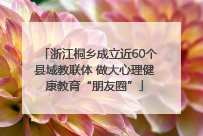 浙江桐乡成立近60个县域教联体 做大心理健康教育“朋友圈”