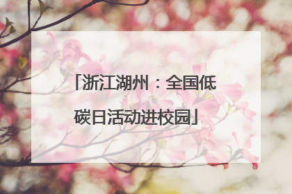 浙江湖州：全国低碳日活动进校园