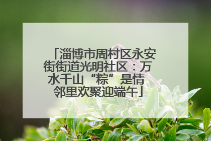 淄博市周村区永安街街道光明社区：万水千山“粽”是情 邻里欢聚迎端午