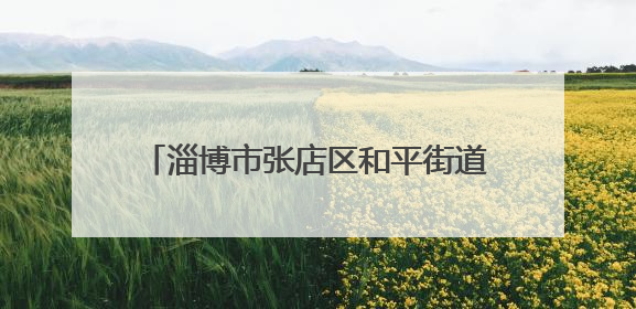 淄博市张店区和平街道家具城社区开展“夜市办”为民服务零距离活动