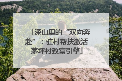 深山里的“双向奔赴”：驻村帮扶激活茅坪村致富引擎