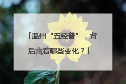温州“五经普”，背后藏着哪些变化？