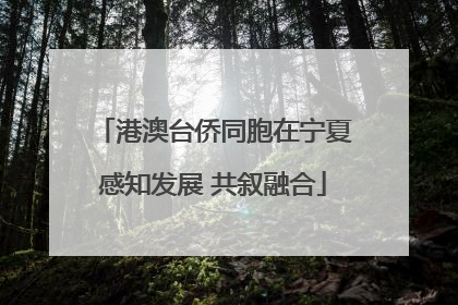港澳台侨同胞在宁夏感知发展 共叙融合