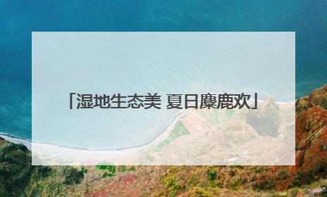 湿地生态美 夏日麋鹿欢
