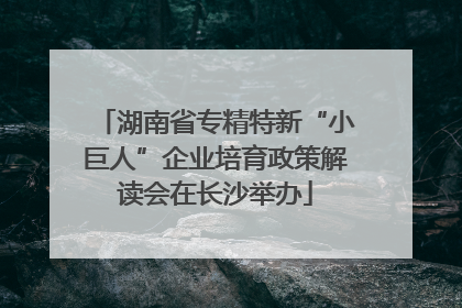 湖南省专精特新“小巨人”企业培育政策解读会在长沙举办