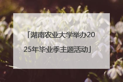 湖南农业大学举办2025年毕业季主题活动