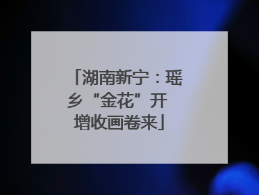 湖南新宁：瑶乡“金花”开 增收画卷来