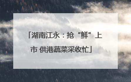 湖南江永：抢“鲜”上市 供港蔬菜采收忙