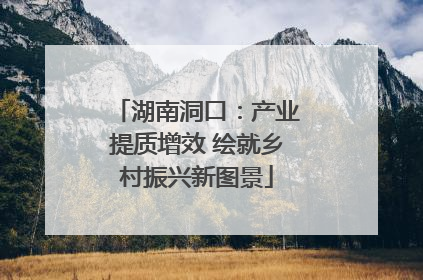 湖南洞口：产业提质增效 绘就乡村振兴新图景