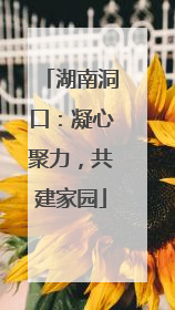 湖南洞口：凝心聚力，共建家园
