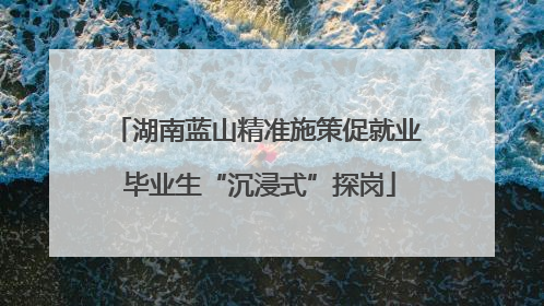 湖南蓝山精准施策促就业 毕业生“沉浸式”探岗