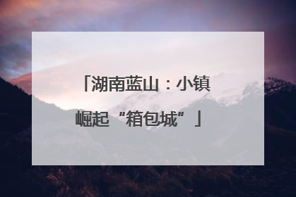 湖南蓝山：小镇崛起“箱包城”