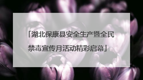 湖北保康县安全生产暨全民禁毒宣传月活动精彩启幕
