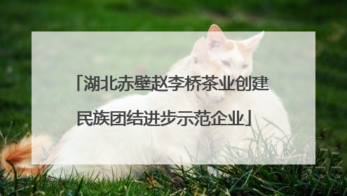 湖北赤壁赵李桥茶业创建民族团结进步示范企业