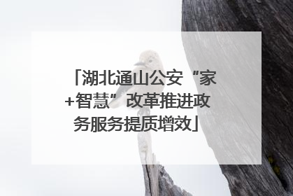 湖北通山公安“家+智慧”改革推进政务服务提质增效