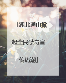 湖北通山掀起全民禁毒宣传热潮