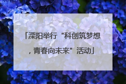 溧阳举行“科创筑梦想，青春向未来”活动