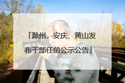 滁州、安庆、黄山发布干部任前公示公告