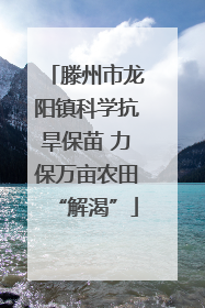 滕州市龙阳镇科学抗旱保苗 力保万亩农田“解渴”