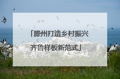 滕州打造乡村振兴齐鲁样板新范式