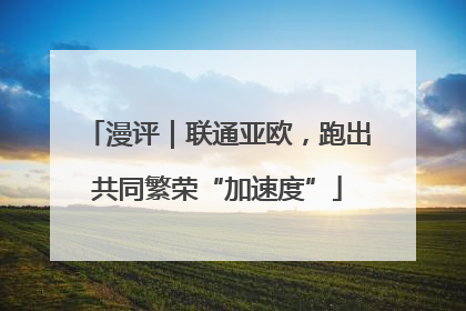漫评｜联通亚欧，跑出共同繁荣“加速度”