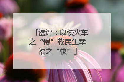 漫评：以慢火车之“慢”载民生幸福之“快”