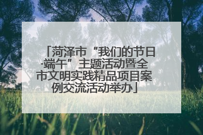 菏泽市“我们的节日·端午”主题活动暨全市文明实践精品项目案例交流活动举办