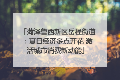 菏泽鲁西新区岳程街道：夏日经济多点开花 激活城市消费新动能