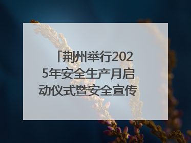 荆州举行2025年安全生产月启动仪式暨安全宣传咨询日活动