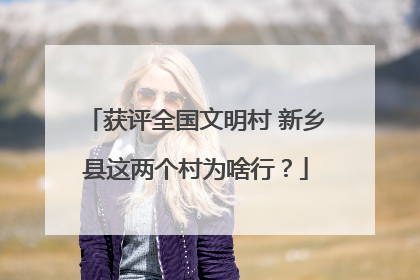获评全国文明村 新乡县这两个村为啥行？