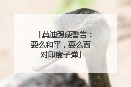 莫迪强硬警告：要么和平，要么面对印度子弹