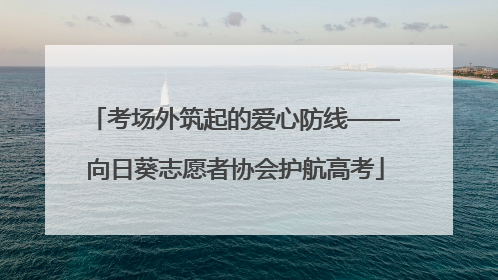 考场外筑起的爱心防线——向日葵志愿者协会护航高考