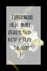 耕读赋能成长 衡阳选调生与乡村学子共育“禾苗梦”