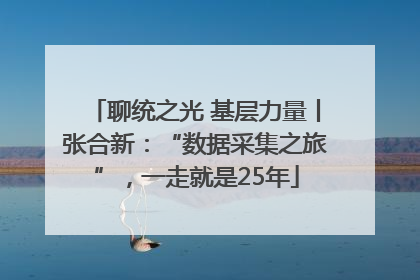 聊统之光 基层力量丨张合新：“数据采集之旅”，一走就是25年