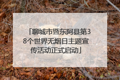 聊城市暨东阿县第38个世界无烟日主题宣传活动正式启动
