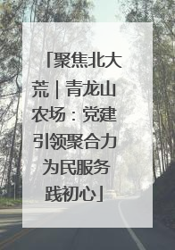 聚焦北大荒｜青龙山农场：党建引领聚合力 为民服务践初心