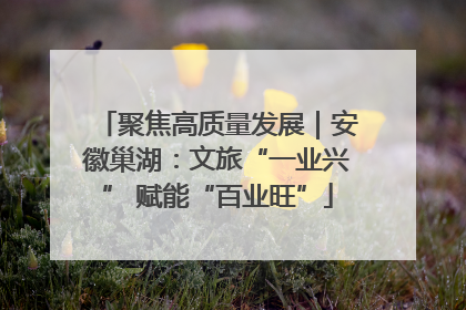 聚焦高质量发展｜安徽巢湖：文旅“一业兴” 赋能“百业旺”