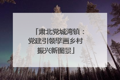 肃北党城湾镇：党建引领擘画乡村振兴新图景