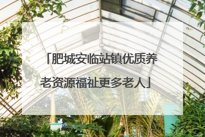 肥城安临站镇优质养老资源福祉更多老人