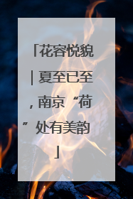 花容悦貌｜夏至已至，南京“荷”处有美韵