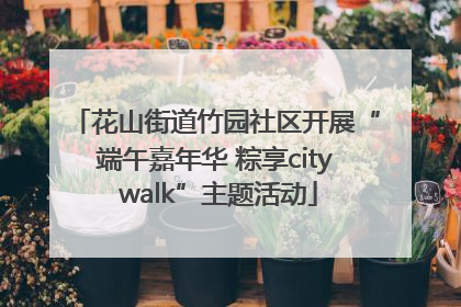 花山街道竹园社区开展“端午嘉年华 粽享city walk”主题活动
