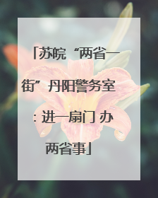 苏皖“两省一街”丹阳警务室：进一扇门 办两省事