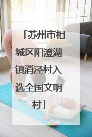 苏州市相城区阳澄湖镇消泾村入选全国文明村