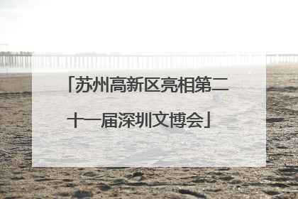 苏州高新区亮相第二十一届深圳文博会