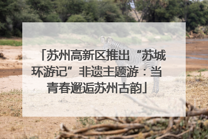 苏州高新区推出“苏城环游记”非遗主题游：当青春邂逅苏州古韵