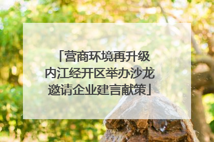 营商环境再升级 内江经开区举办沙龙邀请企业建言献策