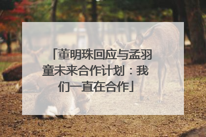 董明珠回应与孟羽童未来合作计划：我们一直在合作