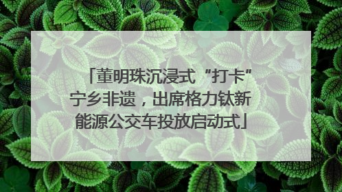 董明珠沉浸式“打卡”宁乡非遗，出席格力钛新能源公交车投放启动式
