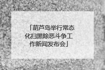 葫芦岛举行常态化扫黑除恶斗争工作新闻发布会