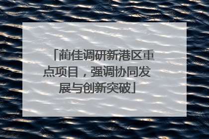 蔺佳调研新港区重点项目，强调协同发展与创新突破